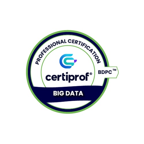 Big Data Professional